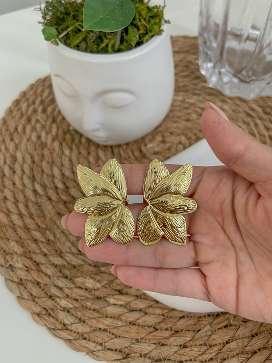 Aretes Fiona