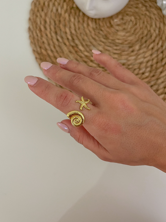 Anillo Concha